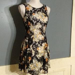 Lace BeBop swing dress